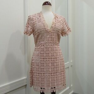 Elegant Lace Dress in Blush Pink